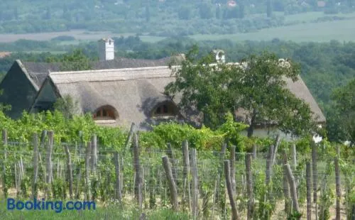 Traditional cottage at Lake Balaton - Image 1