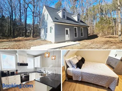 The Guesthouse at Pine Forest Hideaway - Near Jordan Lake & 12 Minutes to UNC - Image 1