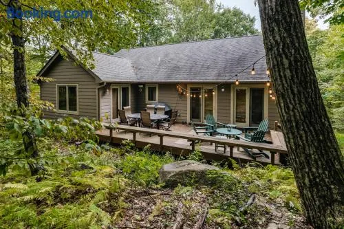 Cozy Wintergreen Retreat Fireplace & Spacious Deck - Image 1