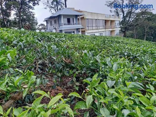 The Nirvana Resort Munnar - Image 1