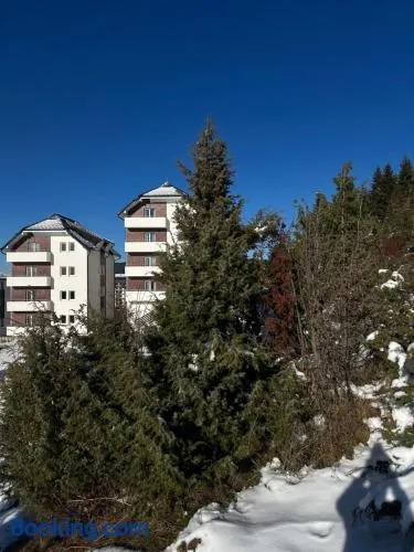 Ramondia, Kopaonik - Image 1