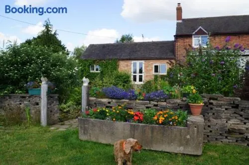 Stag Cottage - Image 1