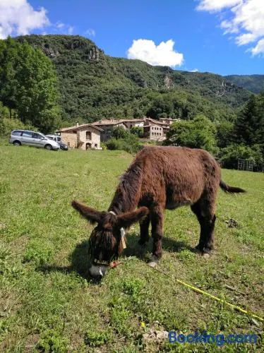 Mas La Cabanya Beget Xalet de muntanya - Image 1