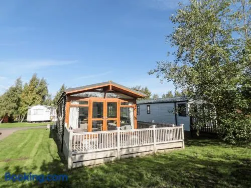 Pine Tree Lodge Eshott - Image 1