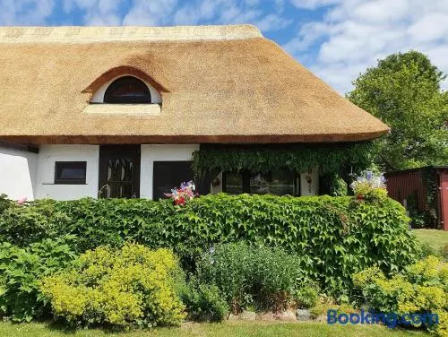 Reetdachhaus Schorsch - Image 1
