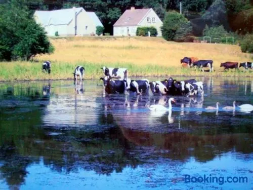 Engelsholm Bed & Breakfast - Image 1