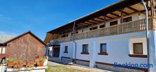Casa de vacanta Musatesti - Image 1