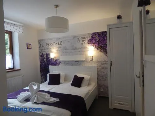 Wellness penzion Harmonie Rohanov - Image 1