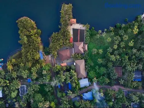 Aamees paradise - Image 1