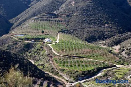 Cortijo El Rancho - Image 1