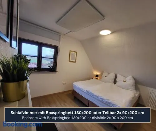 Ferien- und Messewohnung am Ponyhof Nurnberg - Image 1