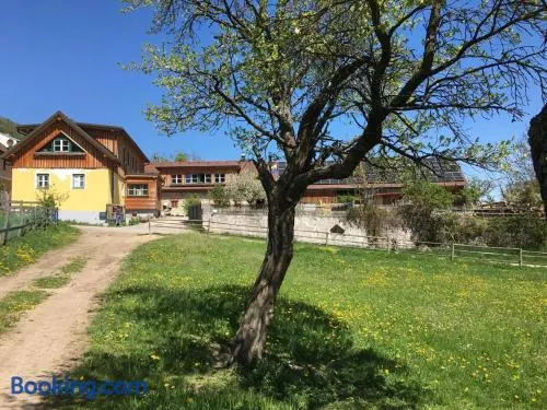 Hüdahof Niemtal - Image 1