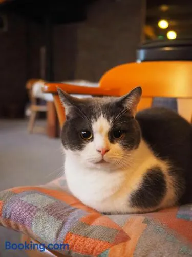 Guesthouse PAW - Image 1