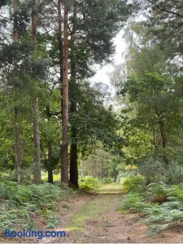 Cobbett Hill Camping - Image 1