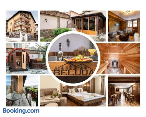 Beluga Guest House - Image 1