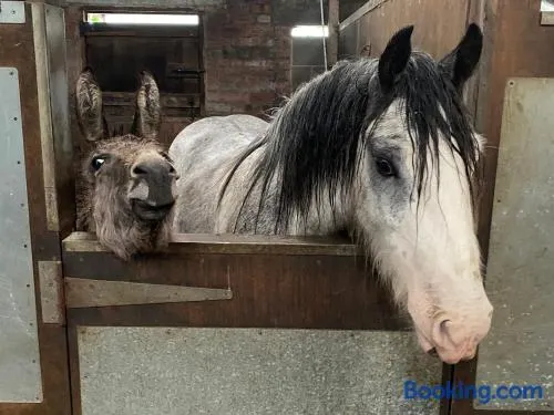 Holywell Grange Farm - Image 1