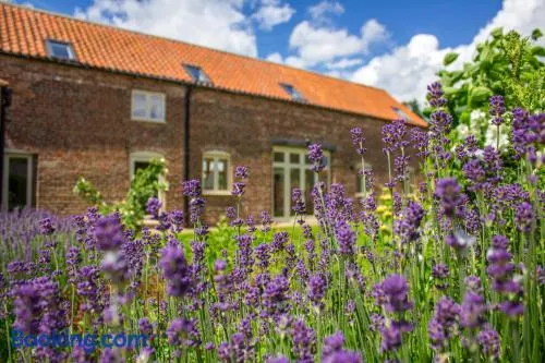 Shakespeare Cottage - Image 1