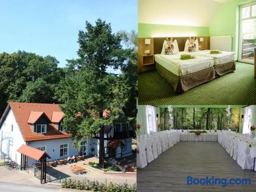 Hotel Zur Waldhufe - Image 1