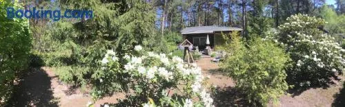 Ferienhaus Wald und Seeidylle, nahe Badesee, Spreewald, Berlin - Image 1