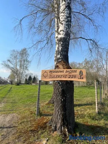 Brzozowe zacisze - Image 1
