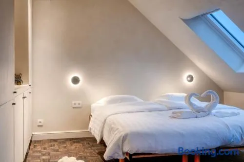 Cozy Ghent Studio for 4 Guests - Image 1