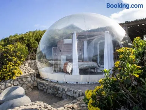 Seeplaas Premium Bubble Tent - Image 1