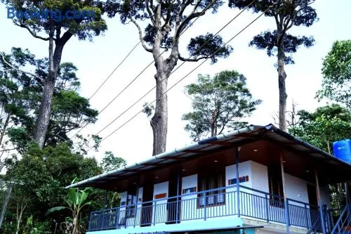 Berlin Homestay - Image 1