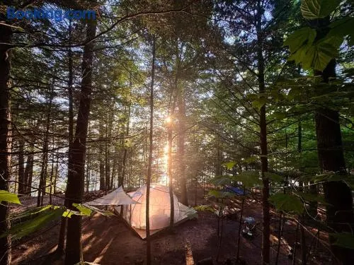 Hammock Haven Island Dome - Image 1