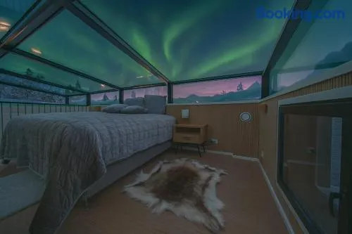 Polaris Igloo by Aavalevi - Image 1