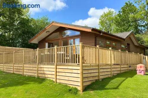 Millbury Lodge with hot tub in Devon - Image 1