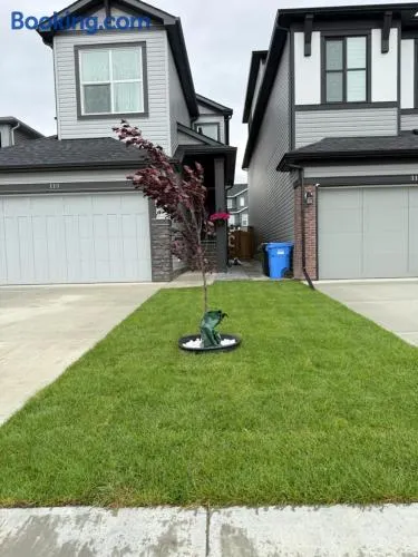 Super house - Image 1