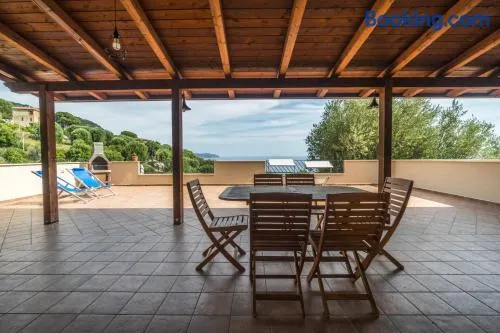 Ibisco - Image 1