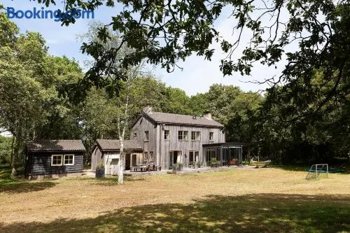 Bosvilla Kennemerduinen - Image 1