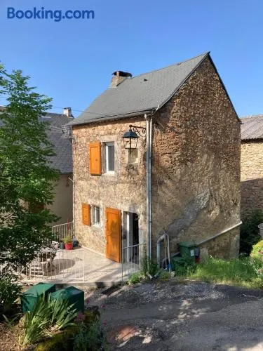 La Modestine - Image 1