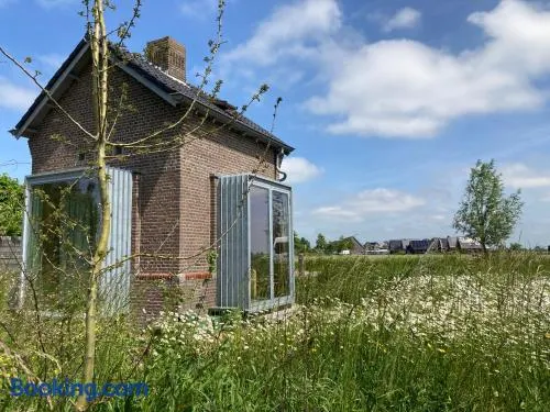 Tiny house Van hoogspanning naar ontspanning - Image 1