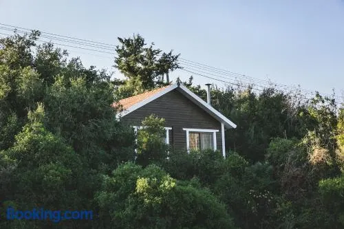 Live in the woods - Image 1