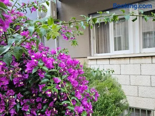 Apartment Ana - Image 1