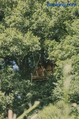 La Cabanoun, cabane perchée vue lac - Image 1