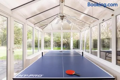 Ping-Pong Paradise - Image 1