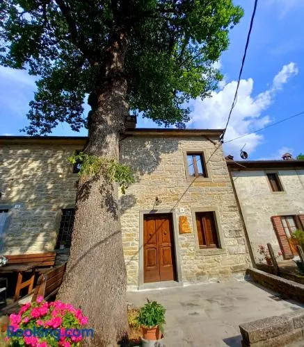 CASINA LA QUERCIA - Image 1