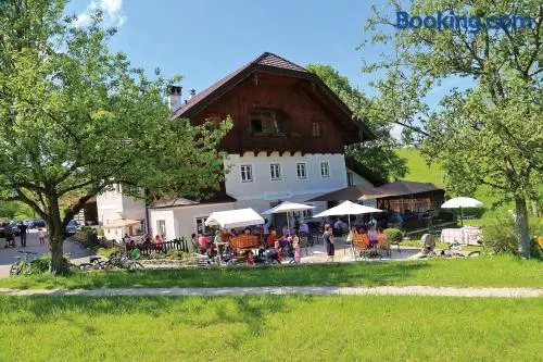 Erlachmühle - Image 1