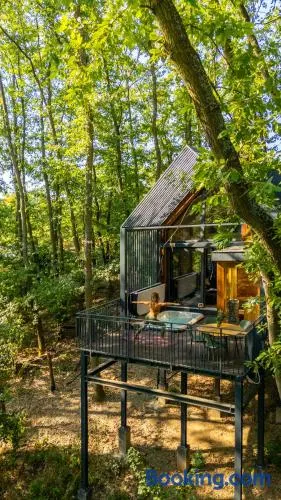 Green House - why not - Image 1