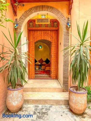 RIAD AMNAY - Image 1