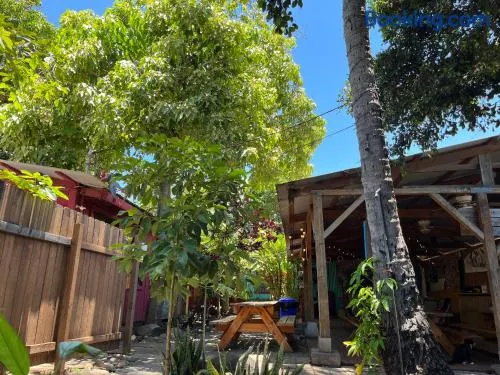 Banana Bungalow Maui Hostel - Image 1