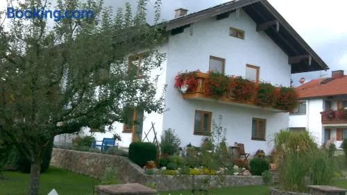Magnifico appartamento adatto alle famiglie con griglia, giardino e terrazza | Vista sul giardino - Image 1