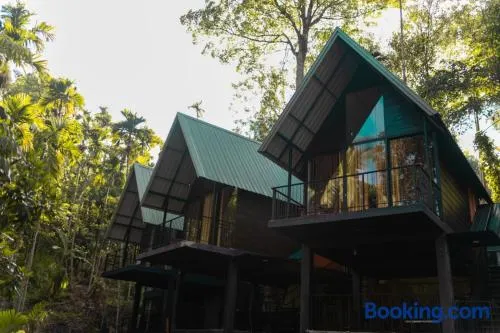 Eco Knuckles Holiday Lodge - Image 1