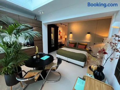 B&B Urban Oasis with Free Parking - Image 1