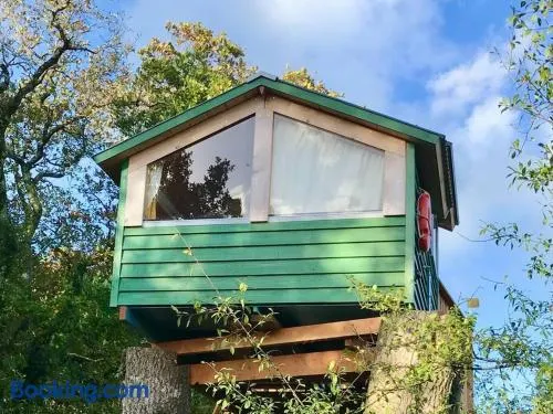 Tree house and shepherds hut & Hot Tub - Image 1
