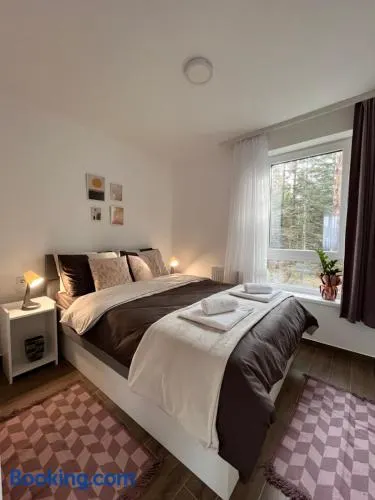Apartmani Divila - Image 1
