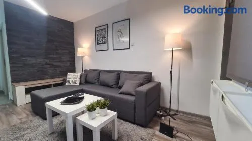 Studio Apartman 47A - Image 1